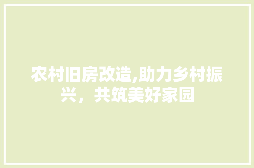 农村旧房改造,助力乡村振兴，共筑美好家园