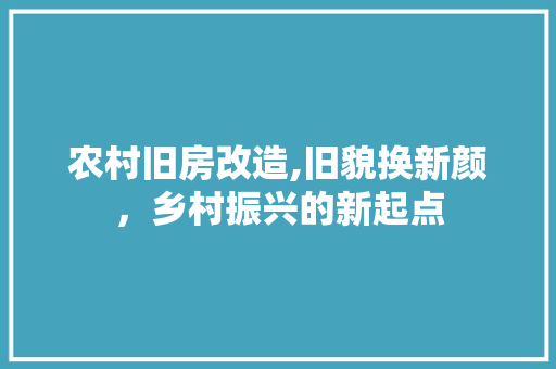 农村旧房改造,旧貌换新颜，乡村振兴的新起点