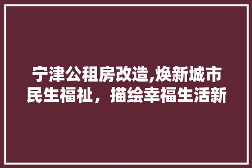 宁津公租房改造,焕新城市民生福祉，描绘幸福生活新画卷