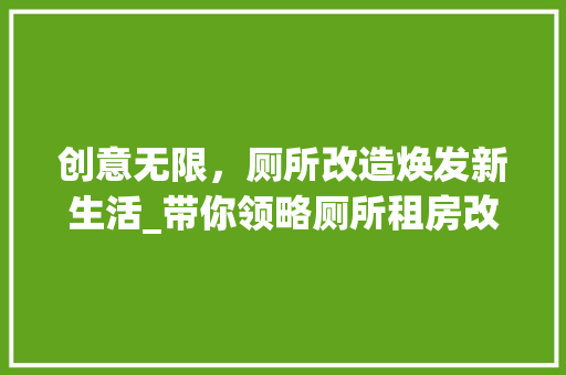 创意无限，厕所改造焕发新生活_带你领略厕所租房改造的艺术之美