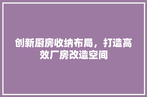 创新厨房收纳布局，打造高效厂房改造空间