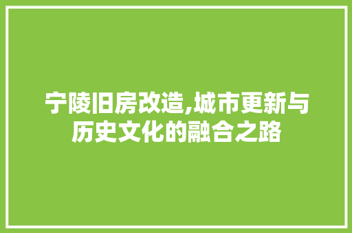 宁陵旧房改造,城市更新与历史文化的融合之路