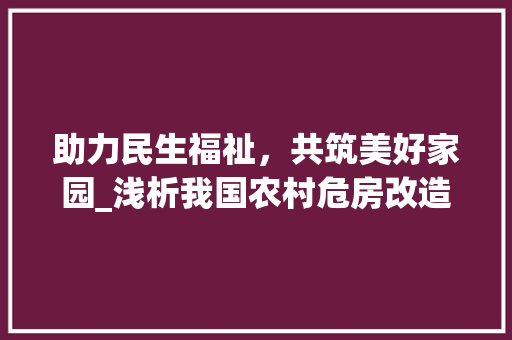 助力民生福祉，共筑美好家园_浅析我国农村危房改造工程