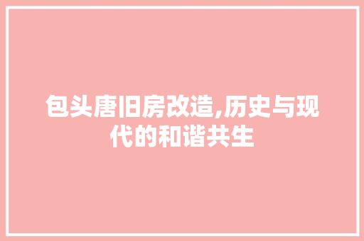 包头唐旧房改造,历史与现代的和谐共生