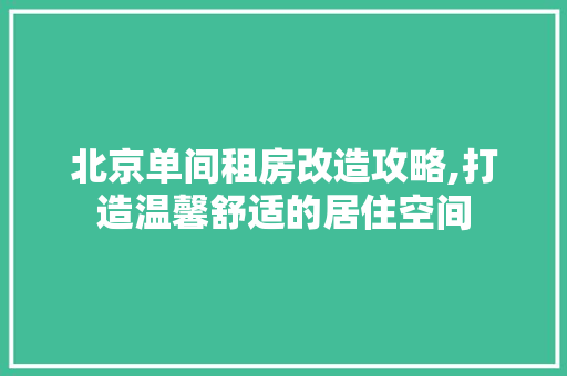 北京单间租房改造攻略,打造温馨舒适的居住空间