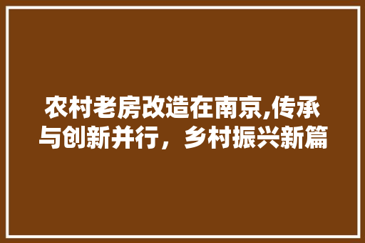 农村老房改造在南京,传承与创新并行，乡村振兴新篇章