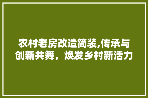 农村老房改造简装,传承与创新共舞，焕发乡村新活力