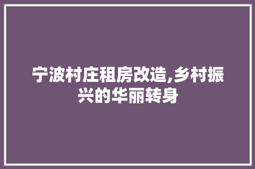 宁波村庄租房改造,乡村振兴的华丽转身