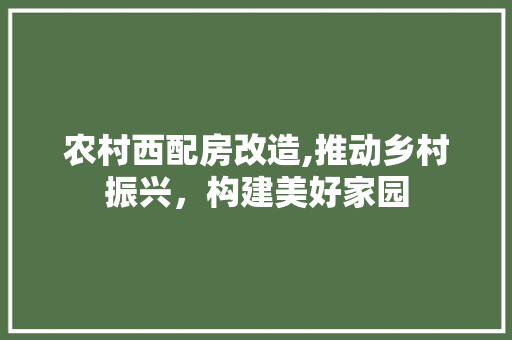 农村西配房改造,推动乡村振兴，构建美好家园