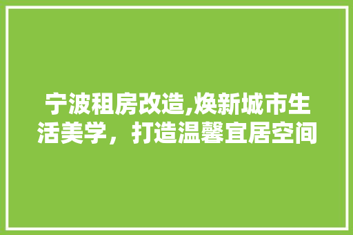 宁波租房改造,焕新城市生活美学，打造温馨宜居空间