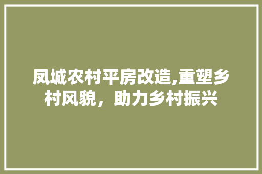 凤城农村平房改造,重塑乡村风貌，助力乡村振兴