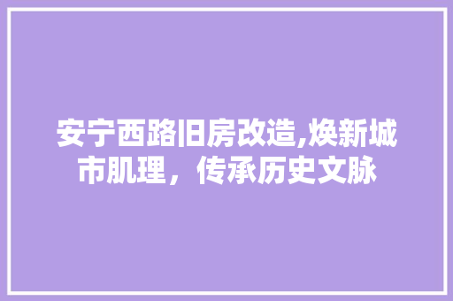 安宁西路旧房改造,焕新城市肌理，传承历史文脉