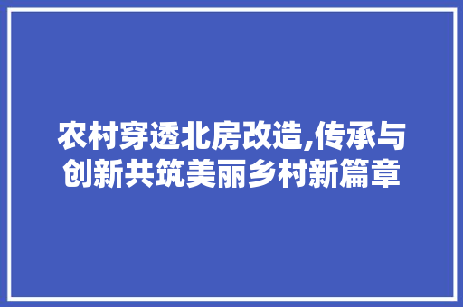 农村穿透北房改造,传承与创新共筑美丽乡村新篇章