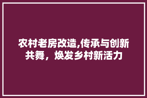 农村老房改造,传承与创新共舞，焕发乡村新活力