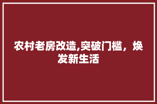农村老房改造,突破门槛，焕发新生活