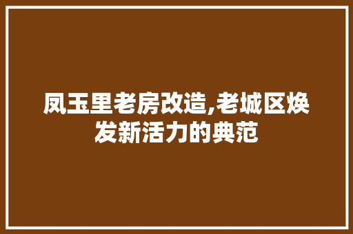 凤玉里老房改造,老城区焕发新活力的典范