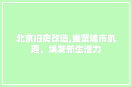 北京旧房改造,重塑城市肌理，焕发新生活力
