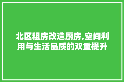 北区租房改造厨房,空间利用与生活品质的双重提升