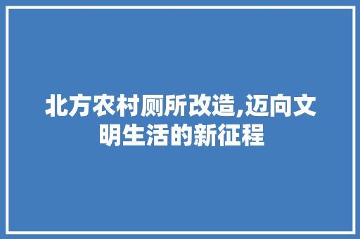 北方农村厕所改造,迈向文明生活的新征程