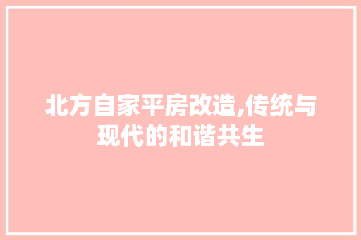 北方自家平房改造,传统与现代的和谐共生