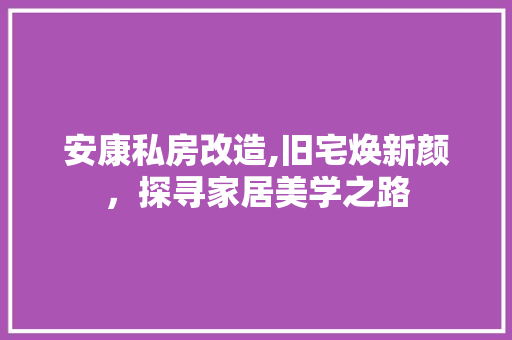 安康私房改造,旧宅焕新颜，探寻家居美学之路