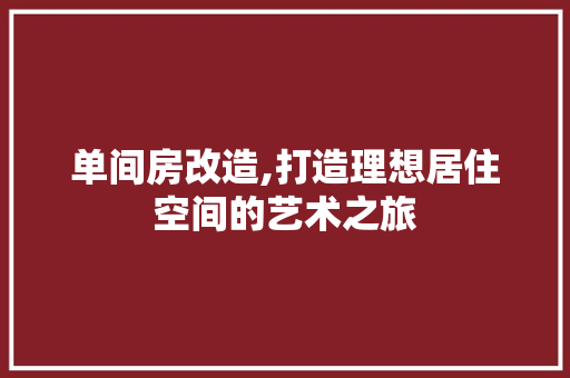 单间房改造,打造理想居住空间的艺术之旅