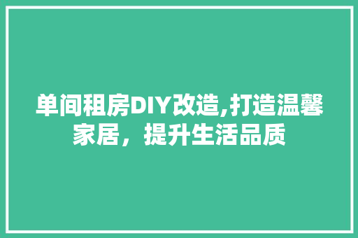 单间租房DIY改造,打造温馨家居，提升生活品质