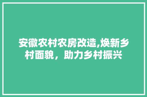 安徽农村农房改造,焕新乡村面貌，助力乡村振兴