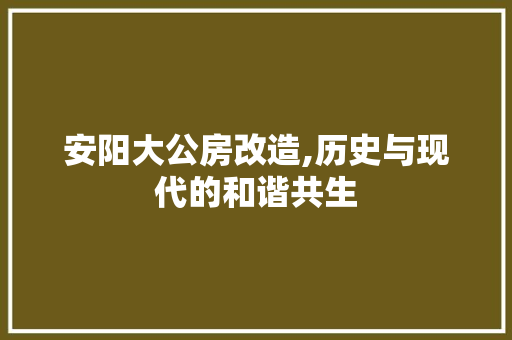 安阳大公房改造,历史与现代的和谐共生