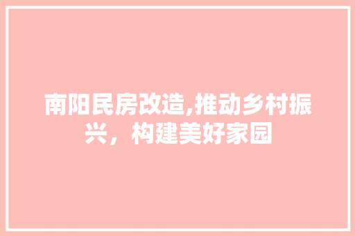 南阳民房改造,推动乡村振兴，构建美好家园