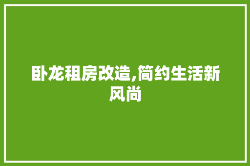 卧龙租房改造,简约生活新风尚