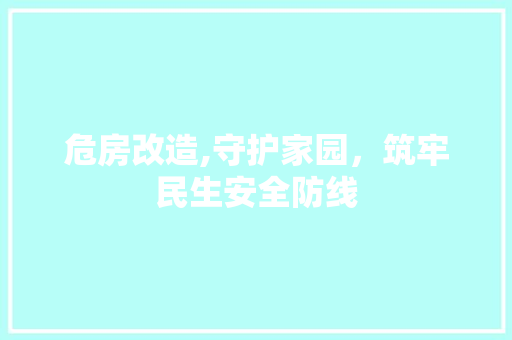 危房改造,守护家园，筑牢民生安全防线