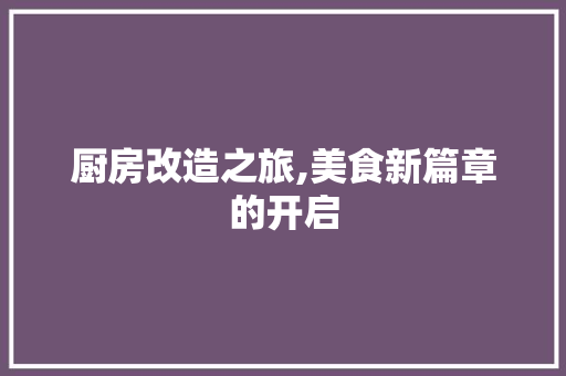 厨房改造之旅,美食新篇章的开启