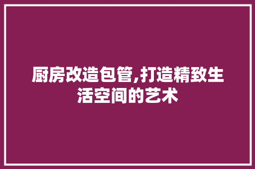 厨房改造包管,打造精致生活空间的艺术
