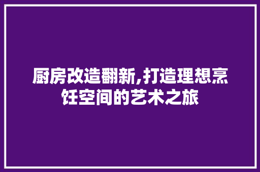 厨房改造翻新,打造理想烹饪空间的艺术之旅