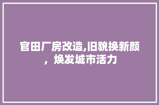 官田厂房改造,旧貌换新颜，焕发城市活力