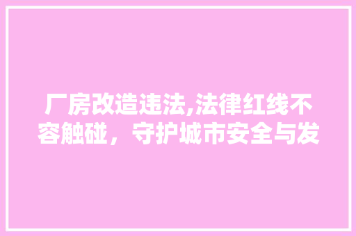 厂房改造违法,法律红线不容触碰，守护城市安全与发展