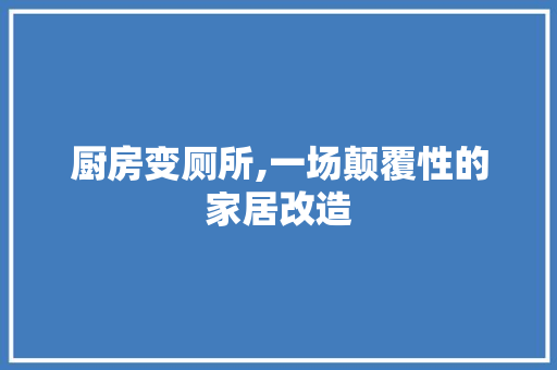 厨房变厕所,一场颠覆性的家居改造