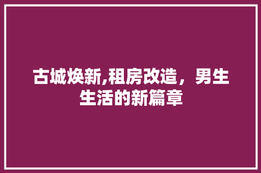 古城焕新,租房改造，男生生活的新篇章