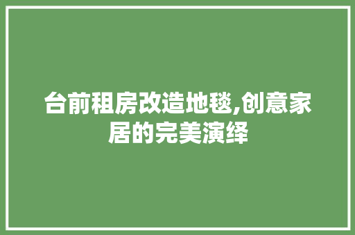 台前租房改造地毯,创意家居的完美演绎