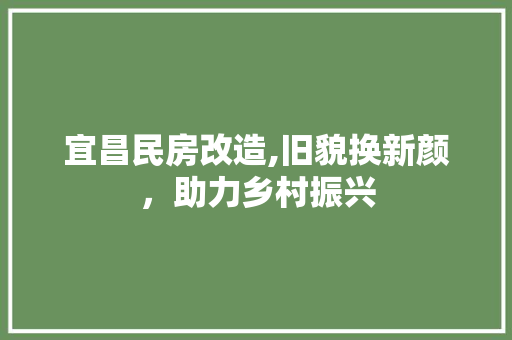 宜昌民房改造,旧貌换新颜，助力乡村振兴