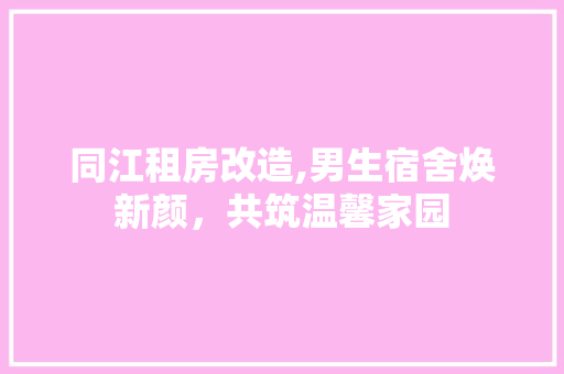 同江租房改造,男生宿舍焕新颜，共筑温馨家园