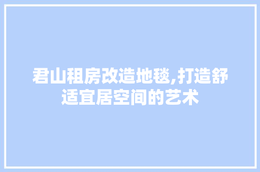 君山租房改造地毯,打造舒适宜居空间的艺术