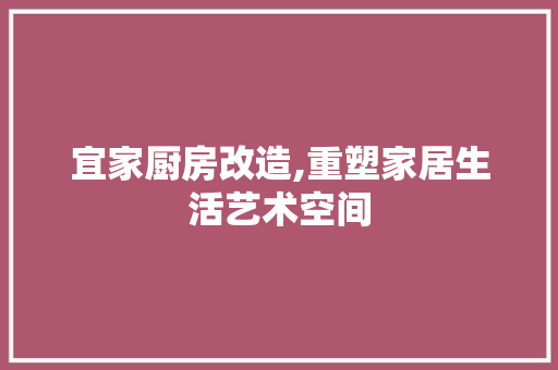 宜家厨房改造,重塑家居生活艺术空间