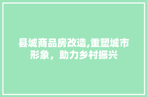 县城商品房改造,重塑城市形象，助力乡村振兴
