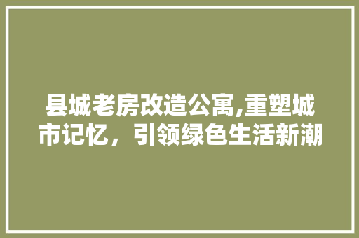 县城老房改造公寓,重塑城市记忆，引领绿色生活新潮流