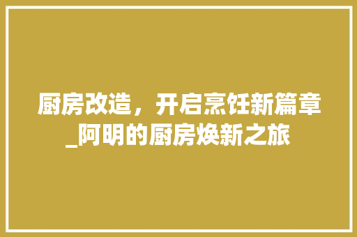 厨房改造，开启烹饪新篇章_阿明的厨房焕新之旅