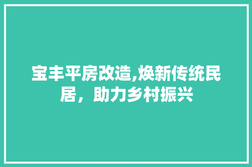 宝丰平房改造,焕新传统民居，助力乡村振兴