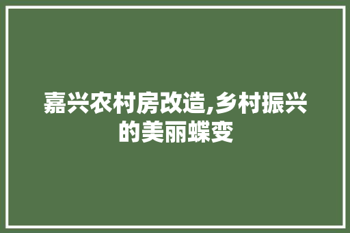 嘉兴农村房改造,乡村振兴的美丽蝶变