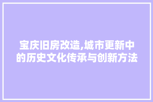 宝庆旧房改造,城市更新中的历史文化传承与创新方法